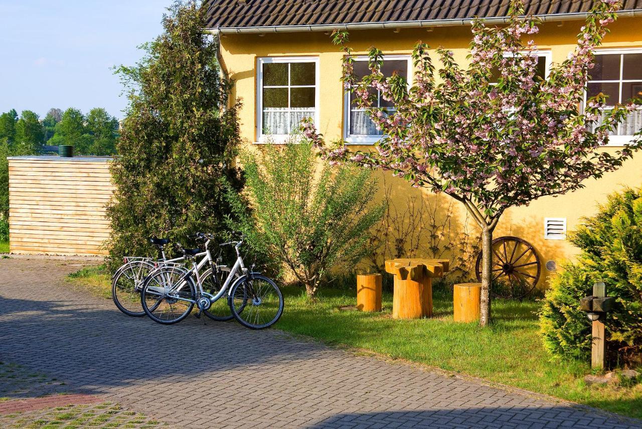 Hotel Am Mueritz-Nationalpark Βάρεν Εξωτερικό φωτογραφία